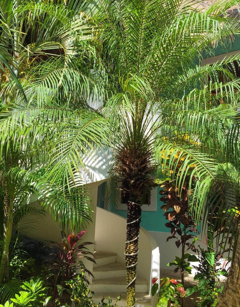 Toto Blue Hotel Boutique Bacalar Esterno foto